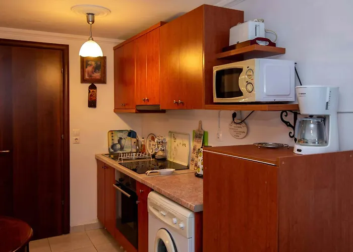 Tatiana Luxury Apartment With Private Pool By Gigi Star