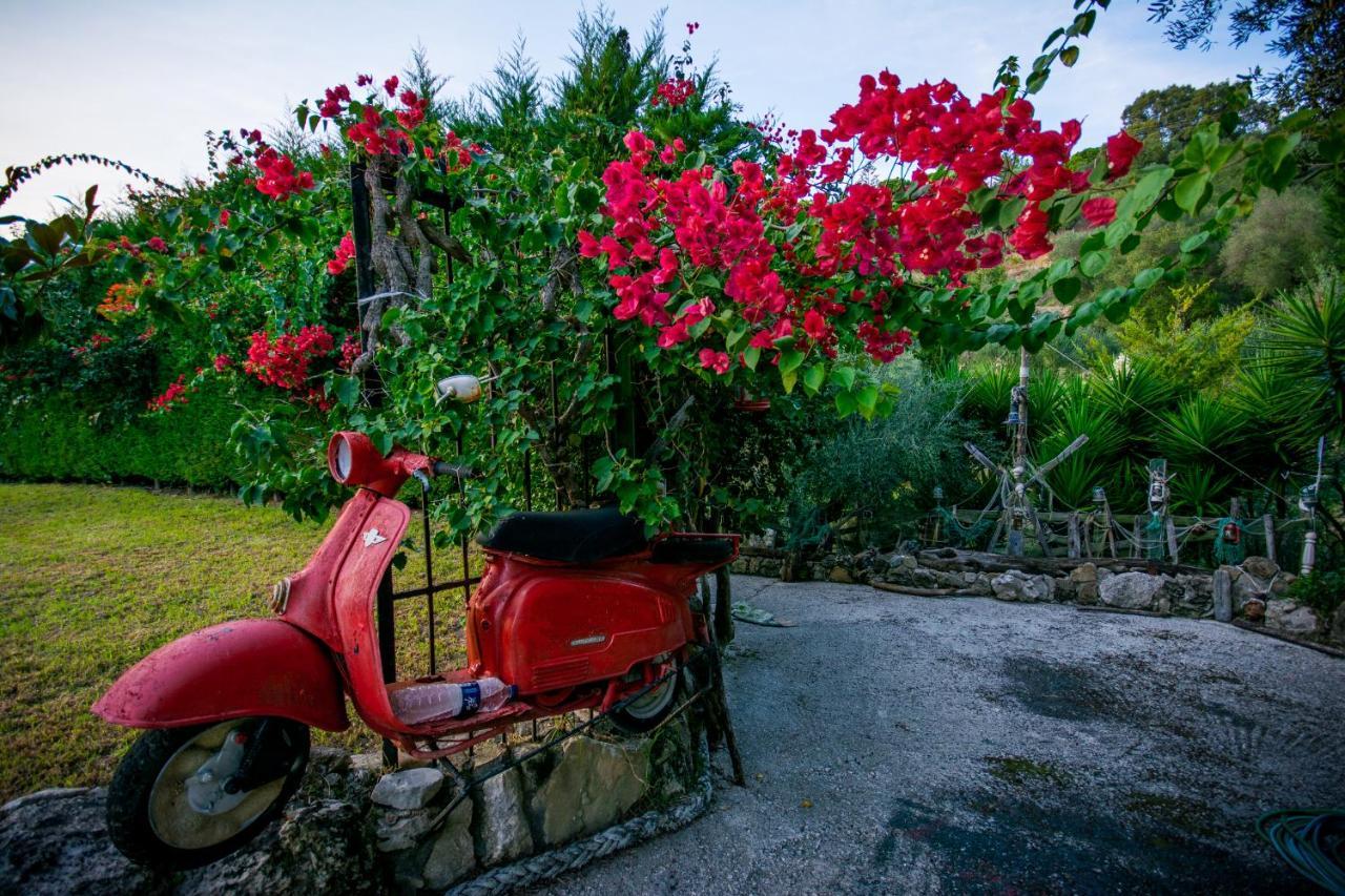 Tatiana Luxury With Private Pool By Gigi Star Zakynthos Town